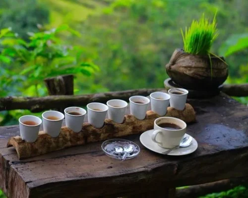Coffe-Plantation-Bali-Destination-Delight.webp