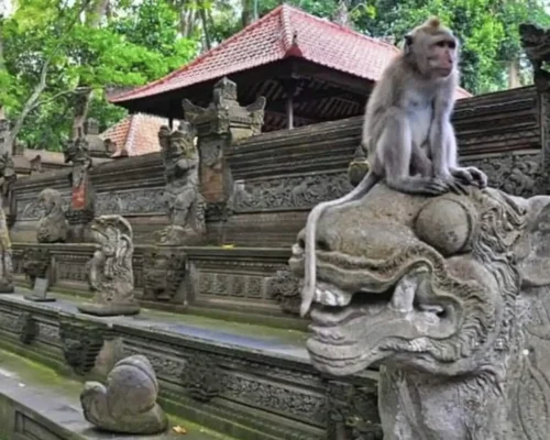 Monkey-Forest-Bali-Destination-Delight.webp