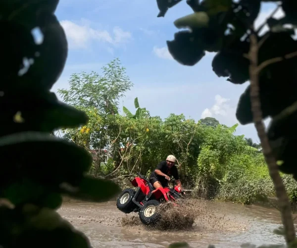 Tole Monkey ATV Ride Tour 3