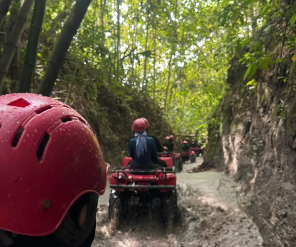 Tole Monkey ATV Ride Tour 4