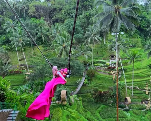 Tole-Monkey-Bali-Swing-2