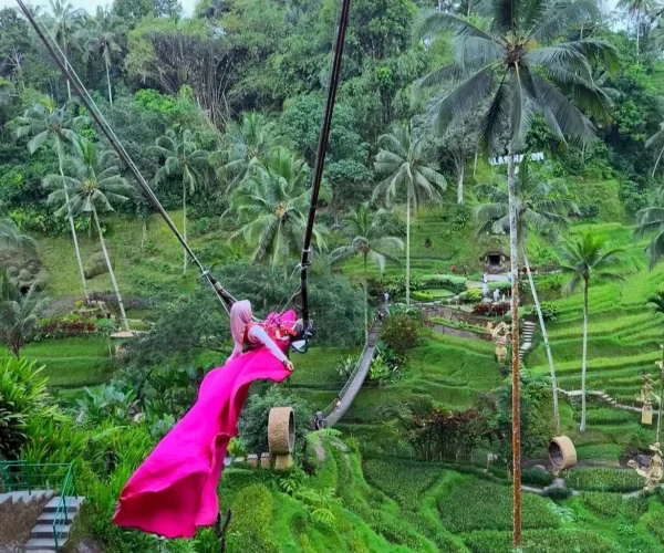 Tole-Monkey-Bali-Swing-2