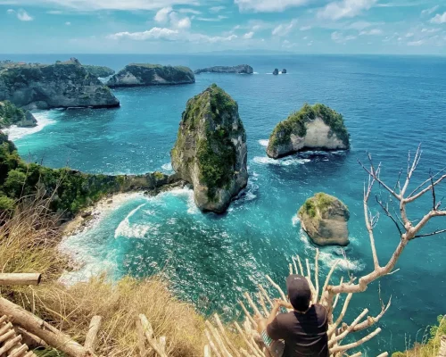 Tole Monkey Nusa Penida 3