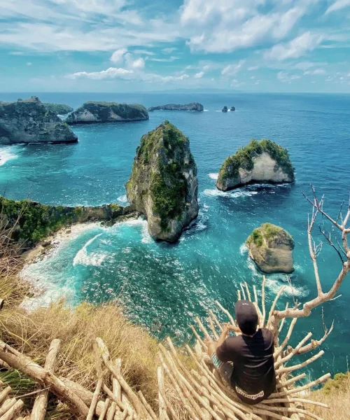 Tole Monkey Nusa Penida 3