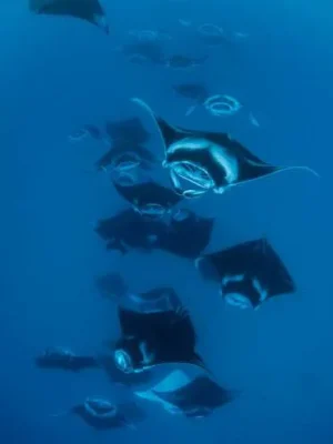 Trip-to-Nusa-Penida-2023_compressed-54.webp