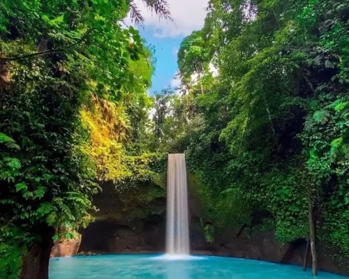 Waterfalls-Bali-Destination-Delight.webp
